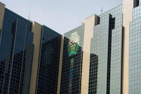 CBN Exposes Financial Strain: 31 States Default on N339.9bn Loans
