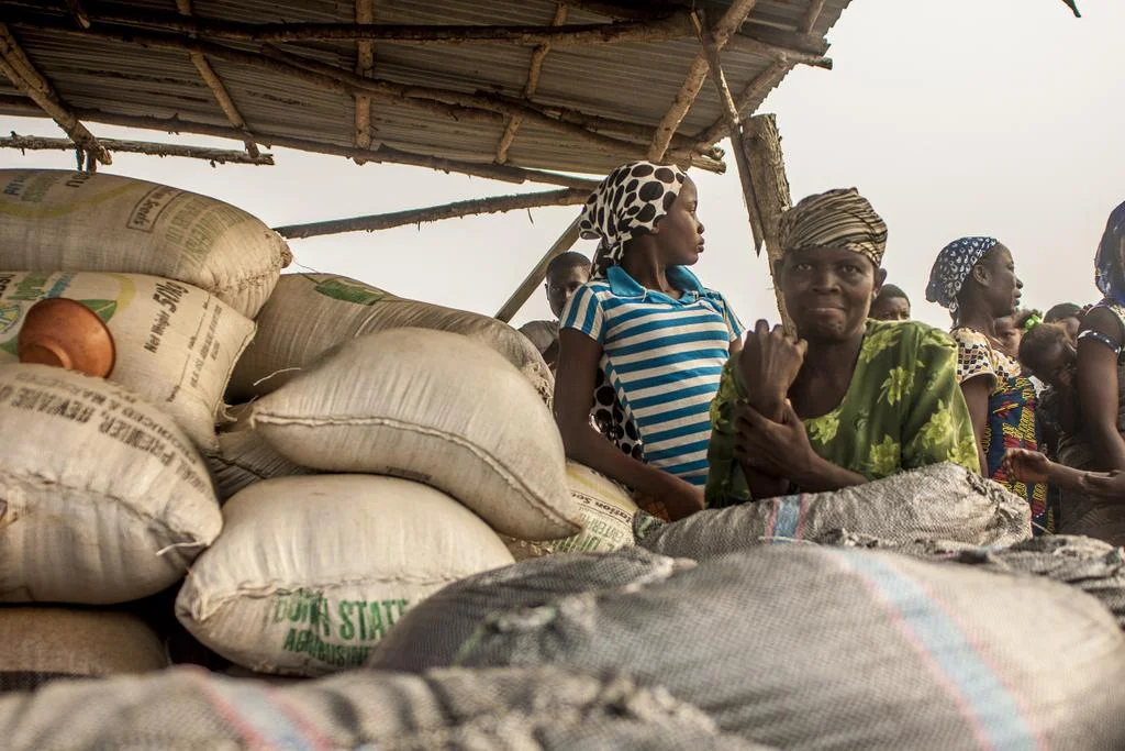 aregbesola rice 1.jpg