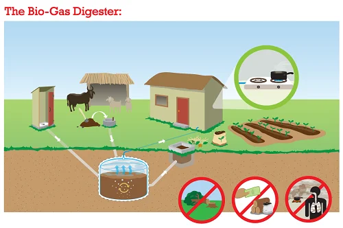 Biogas digester bopdesigner.com.webp