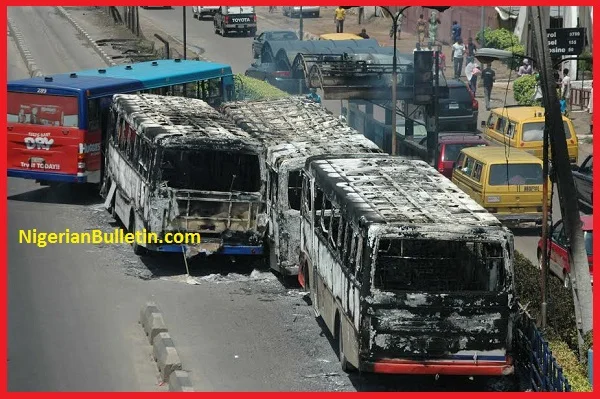 brt-buses.jpg