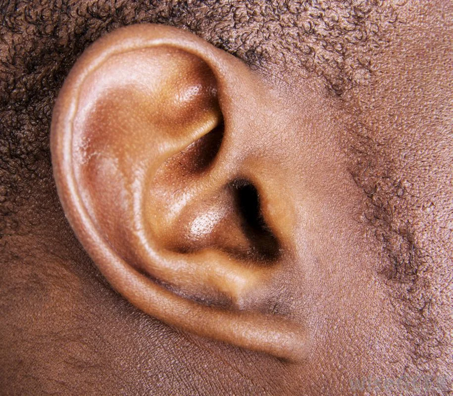 ear.webp