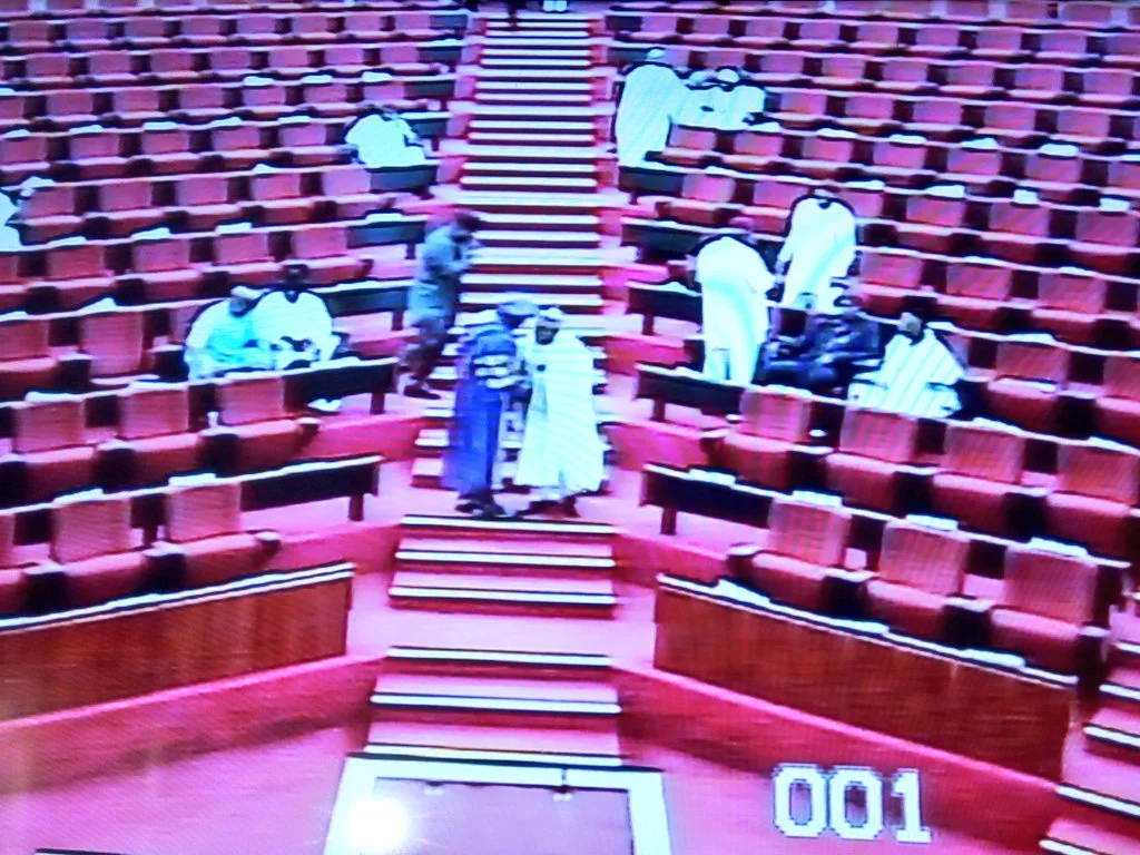 melaye aca.webp