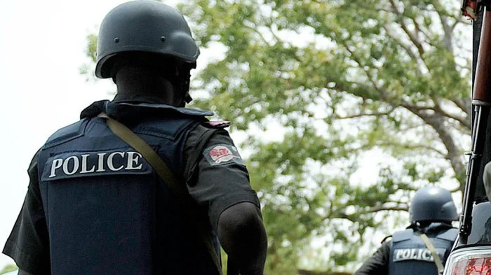 nigeria_police.webp