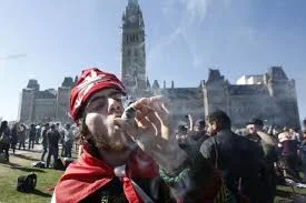 Punch-newspaper-Marijuana.jpg