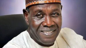 The-Sun-Newspaper-Alhaji Babagana Kingibe.webp