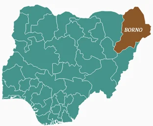 Vanguard-Newspaper-Boko-Haram-Borno.webp