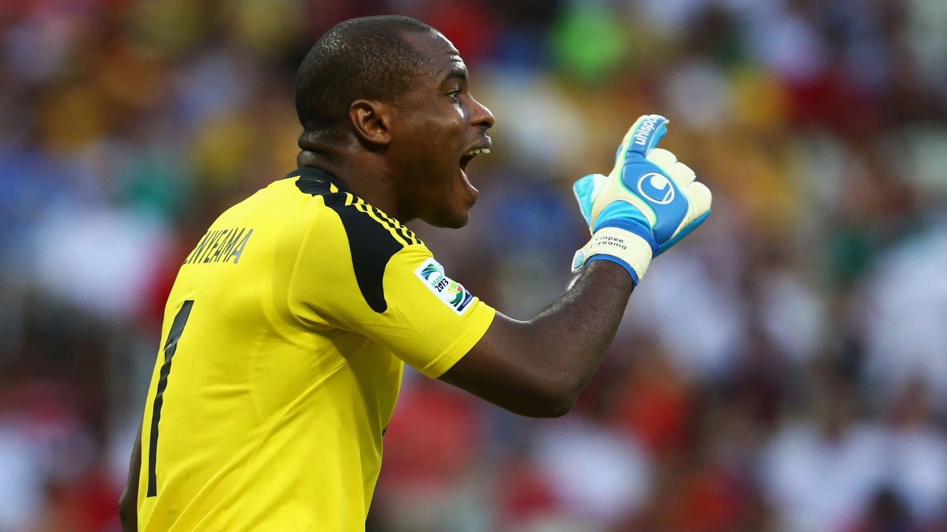 vincent-enyeama-goal-keeper.jpg