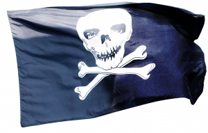 pirate-flag-nigeria.jpg