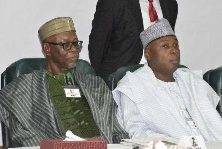saraki Oyegun.JPG