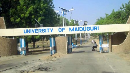 University-of-Maiduguri.jpg