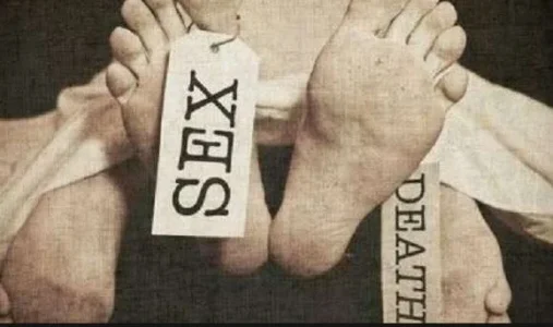 sesx.webp
