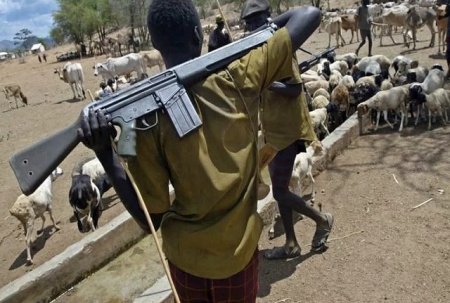 herdsmen with gun.jpg
