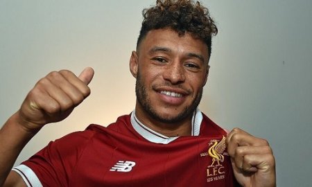 ox.jpg