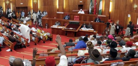 Nigerian-Senate-1-1.jpg