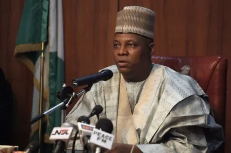 shettima NG.webp