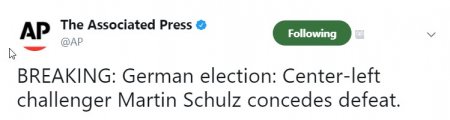 ap-german-elections.jpg