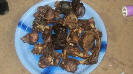meat.webp