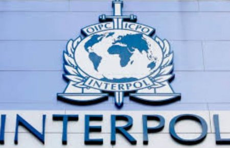 interpol.JPG