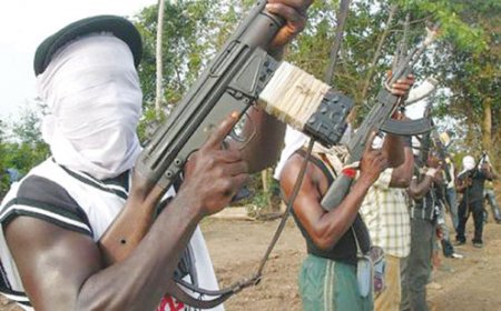 Ebonyi Catholic Priest Escapes After Kidnappers Drank His Holy Wine & Slept Off