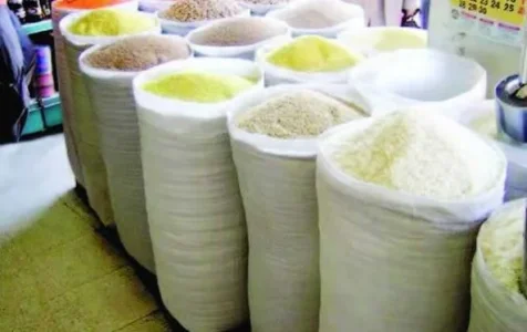 rice N.webp