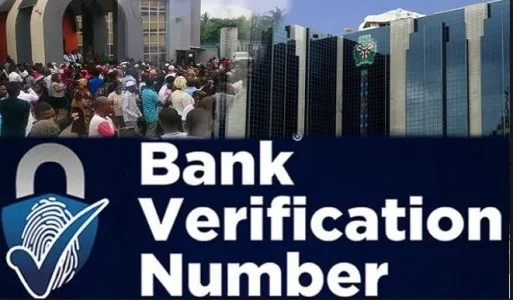 bvn.webp