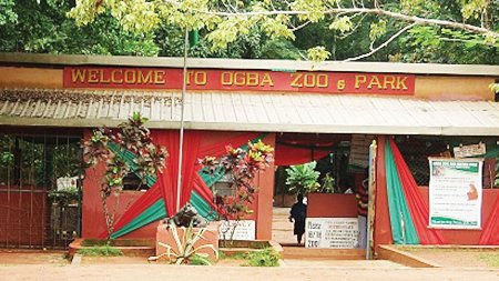 Ogba-zoo.jpg