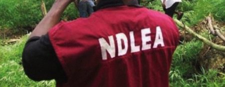 NDLEA Nabs Policeman Providing Escort Services to Truck of Weed in Kogi