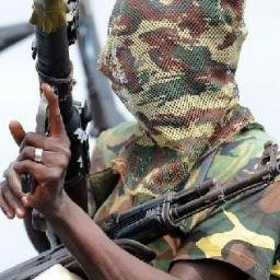 niger delta avengers.jpg