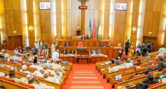 senate.webp