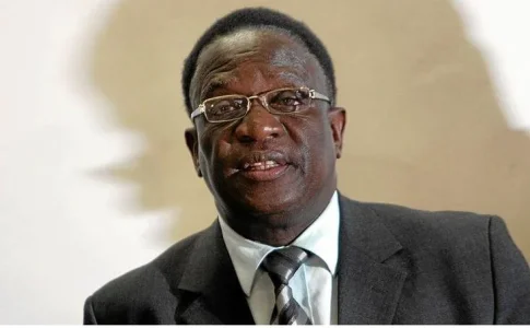 zim leader.webp