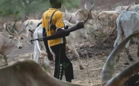 herdsmen.webp