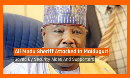 ali modu.png