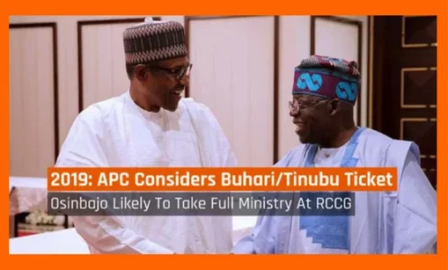 buahri_tinubu.webp