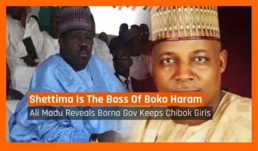 kassim boko.webp