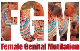 FGM.jpg