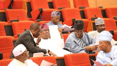 Nigerian-Senate-3-1062x598.jpg