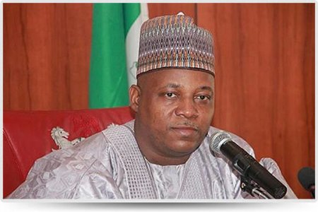 shettima.jpg