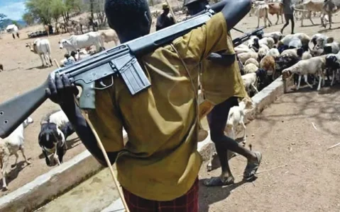 Some-Fulani-herdsmen.webp Some-Fulani-herdsmen.webp