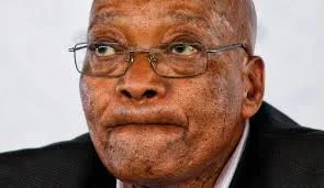zuma.webp