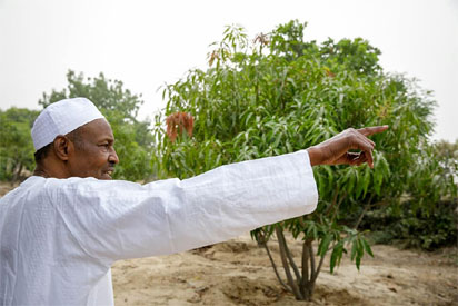 buhari-inspecting1.jpg