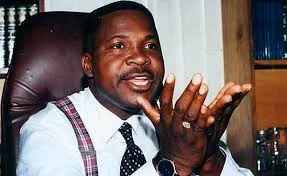 Mike Ozekhome.webp