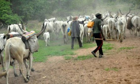 fulani-herdmen-768x461.jpg