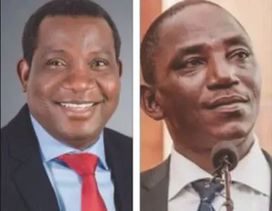 lalong and dalong.webp lalong and dalong.webp