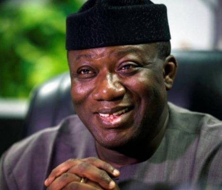 Kayode-Fayemi-696x597.jpg