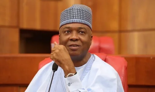 saraki.webp