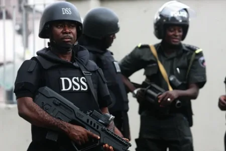 dss.webp