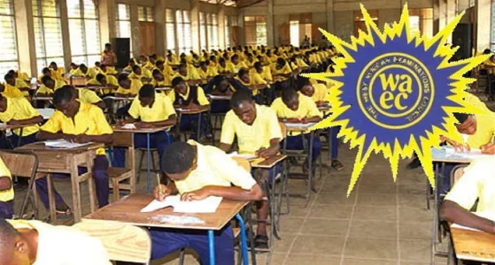 waec nigeria.webp
