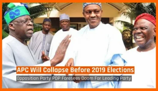 apc 2019.webp