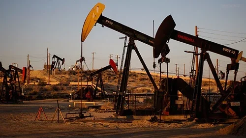 oil.webp