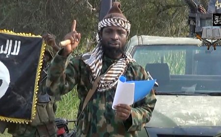 shekau.jpg